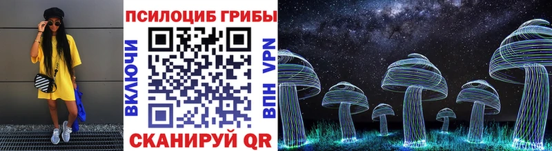 Псилоцибиновые грибы Psilocybine cubensis  Вологда 